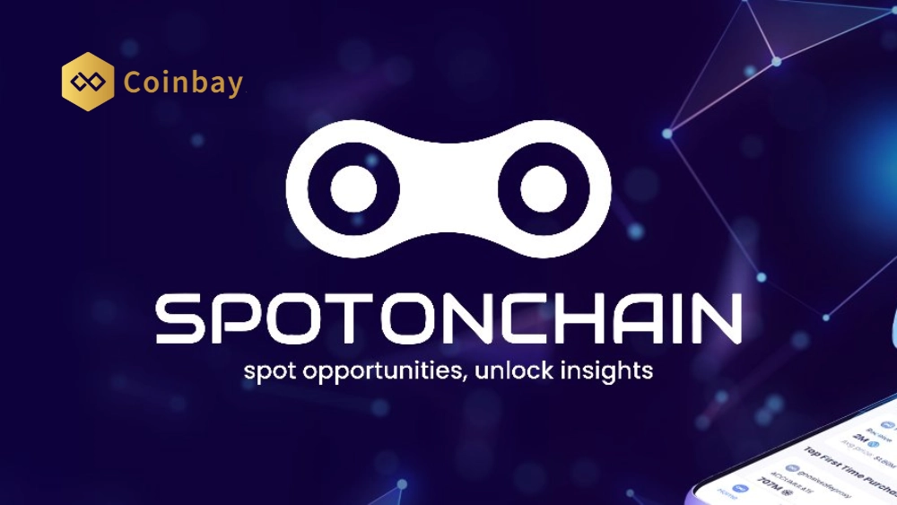 What Is Spot On Chain Overview Of On Chain Data Platform