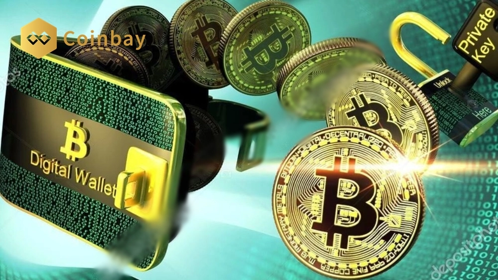 Majority of Bitcoin Addresses Hold Small Amounts - DailyCoin
