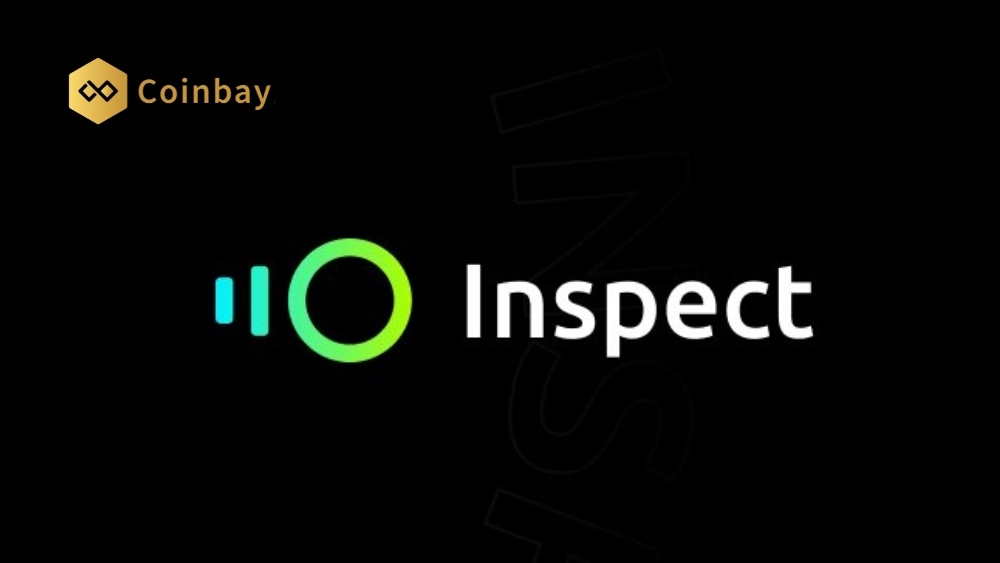 What is INSP Overview of the Inspect project