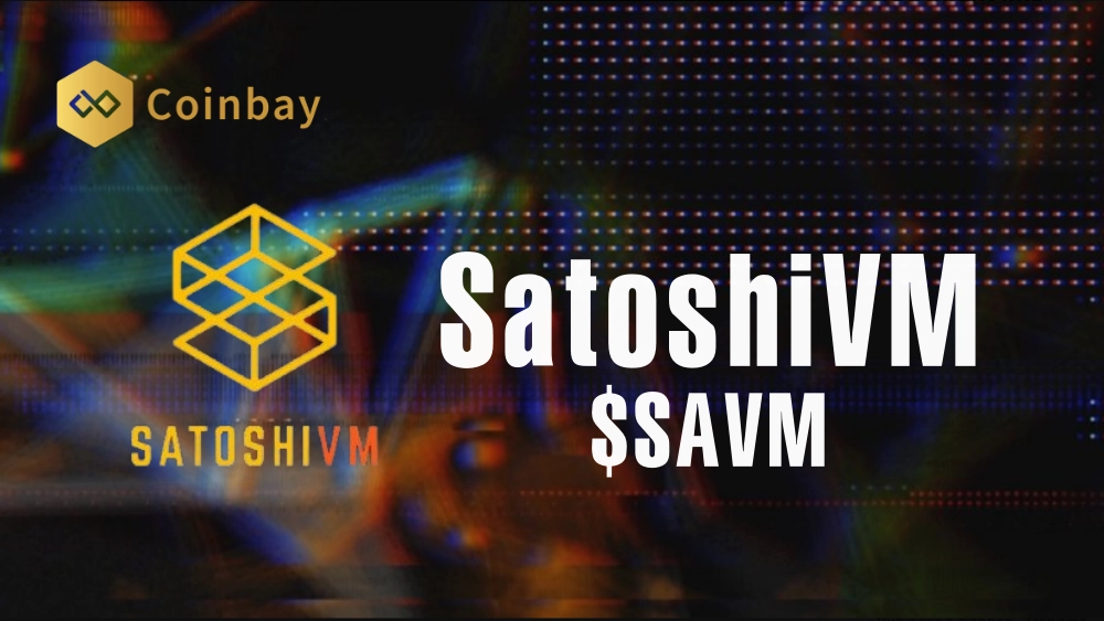 SAVM team sell off raises suspicions of project scam