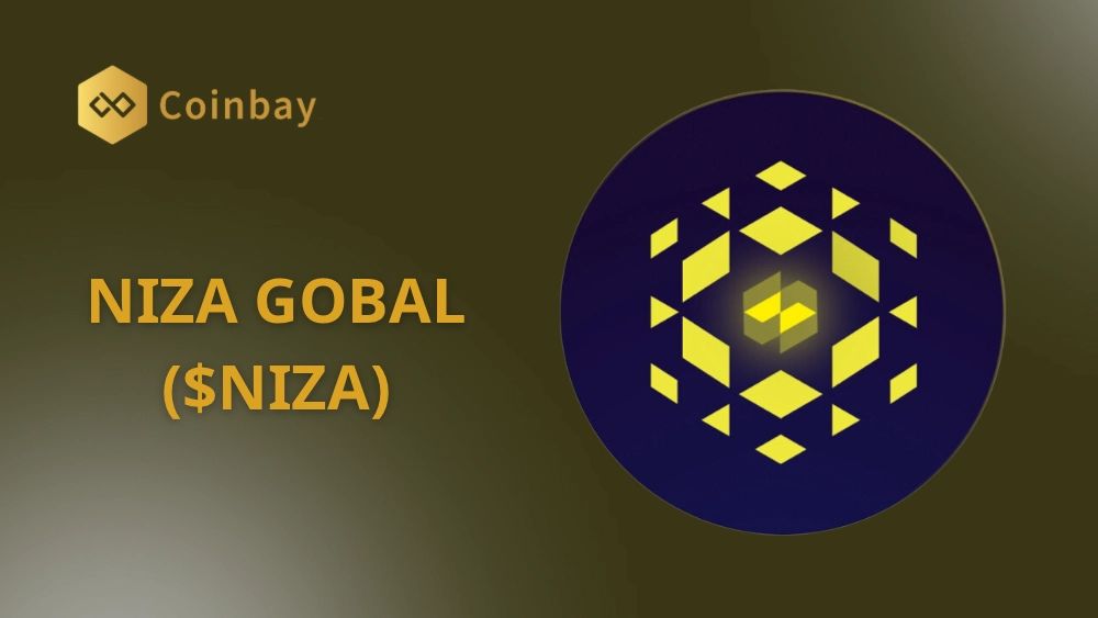 What is NIZA? Overview of the Niza Global project