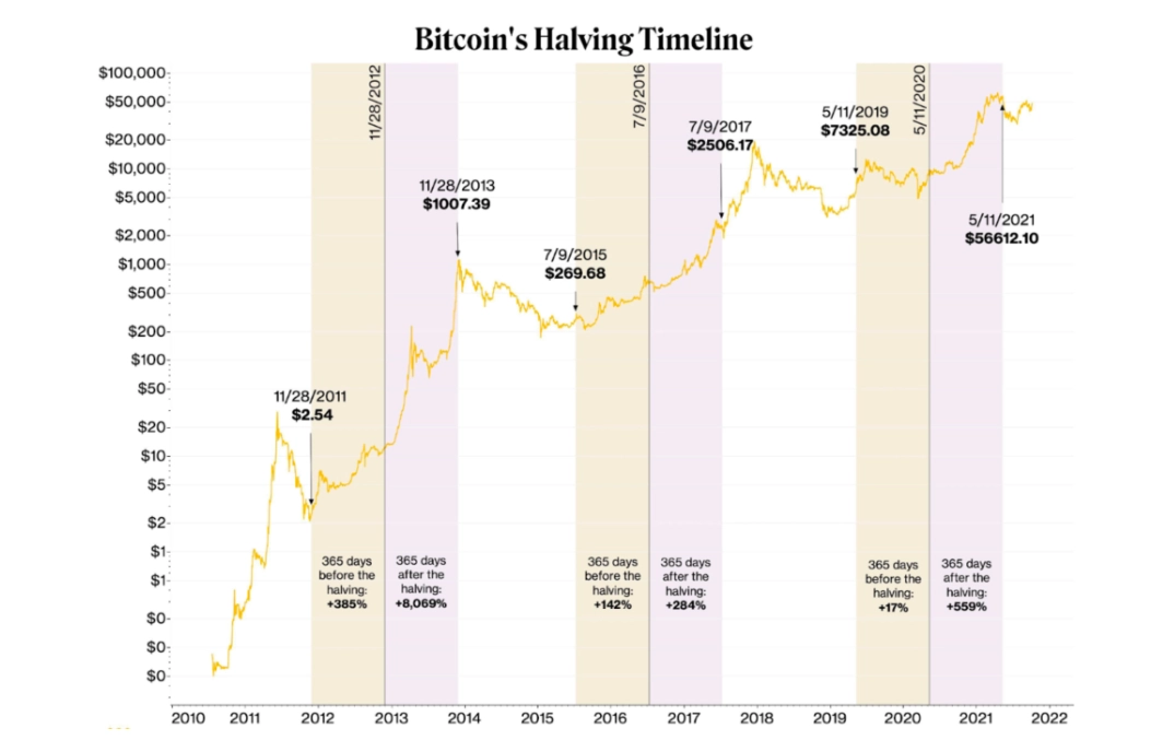 bitcoin halving 5