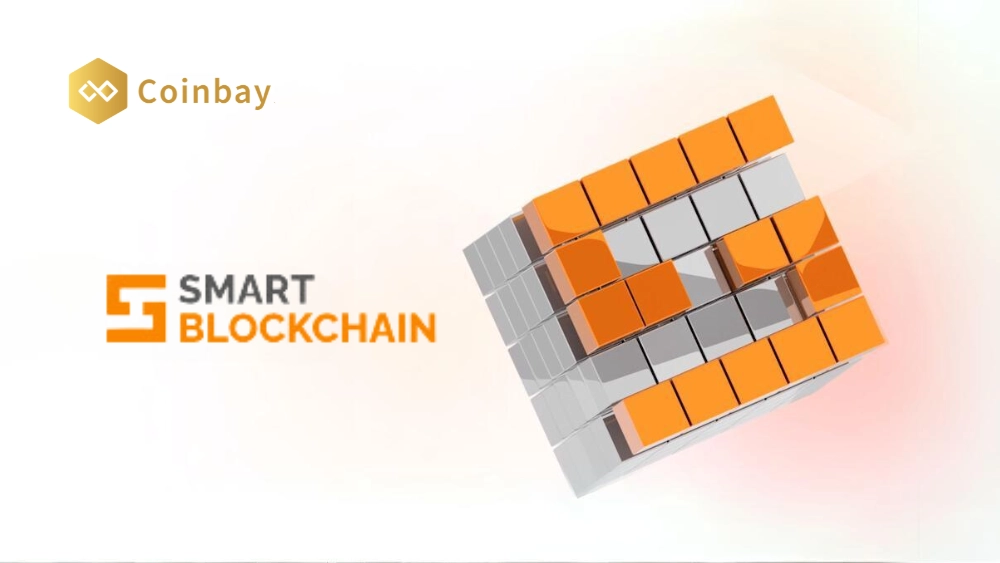 what-is-smart-overview-of-smart-blockchain