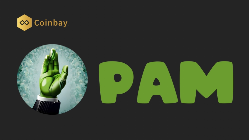 What is PAM? Overview of the meme coin PAM