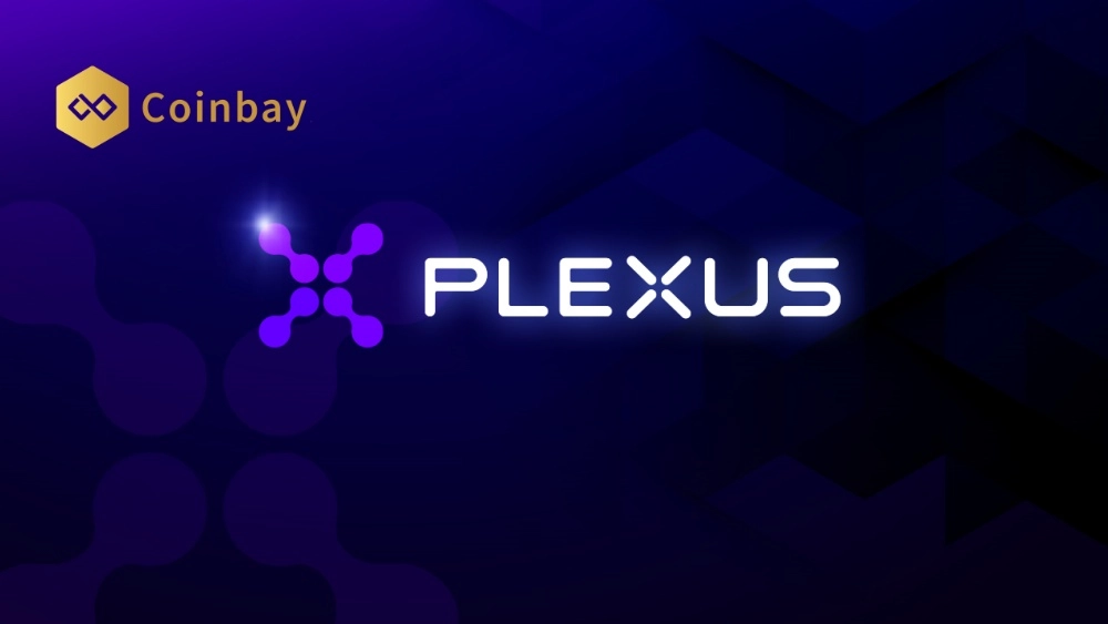 What is PLX token? Details about the Plexus project
