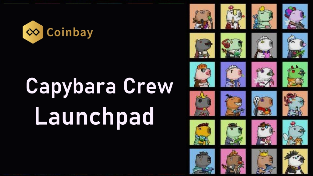Guide to participate in Capybara Crew launchpad