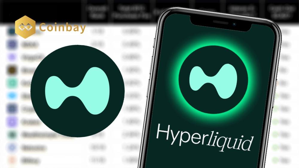 What is HYPE token? Blockchain and derivatives DEX HyperLiquid