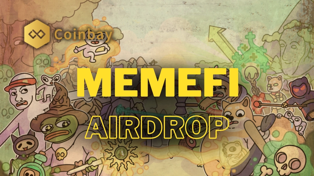 Memefi 24.07. Memefi 24.07