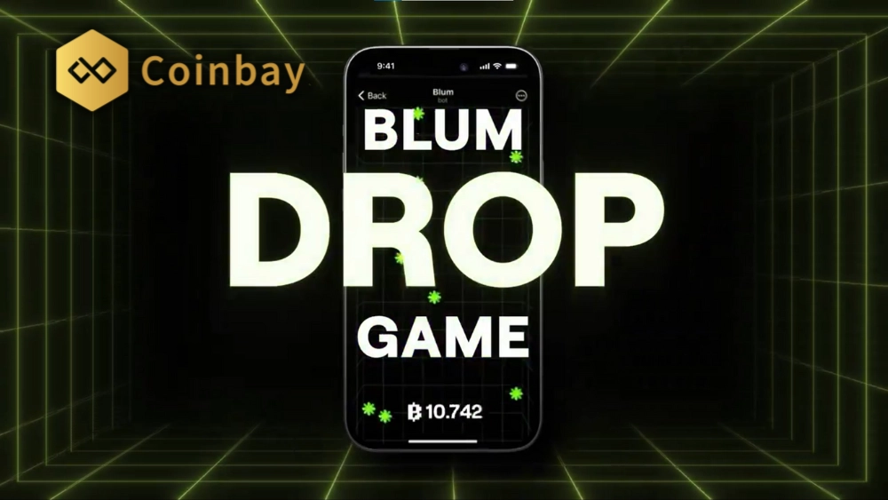 Guide to participating in Blum Drop game