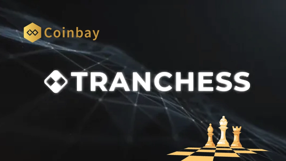 What is CHESS token? Tranchess asset management project