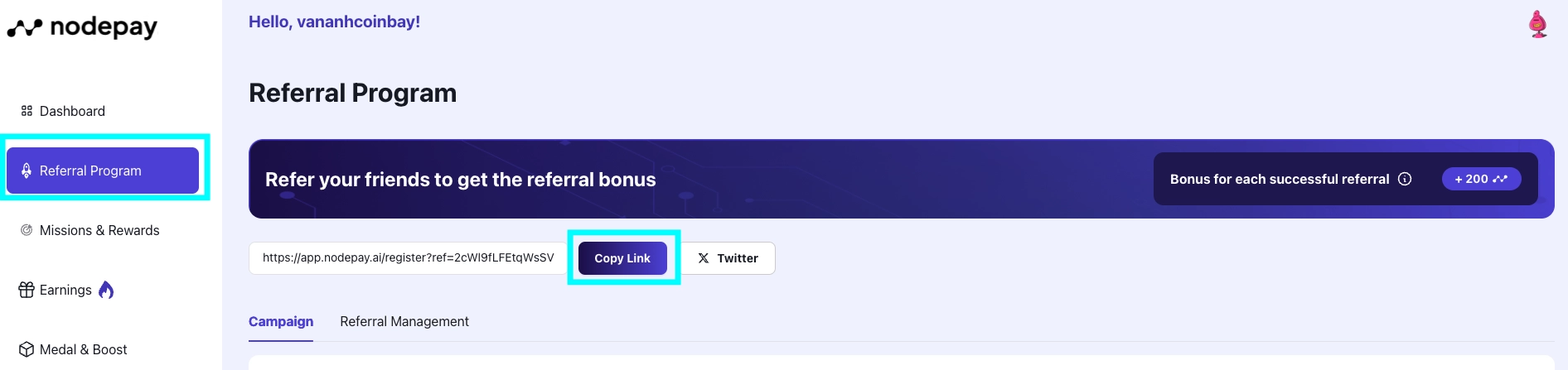 Guide to participate in Nodepay airdrop