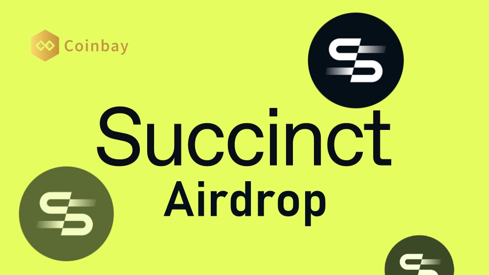Succint Example Guide to participating in Succinct testnet