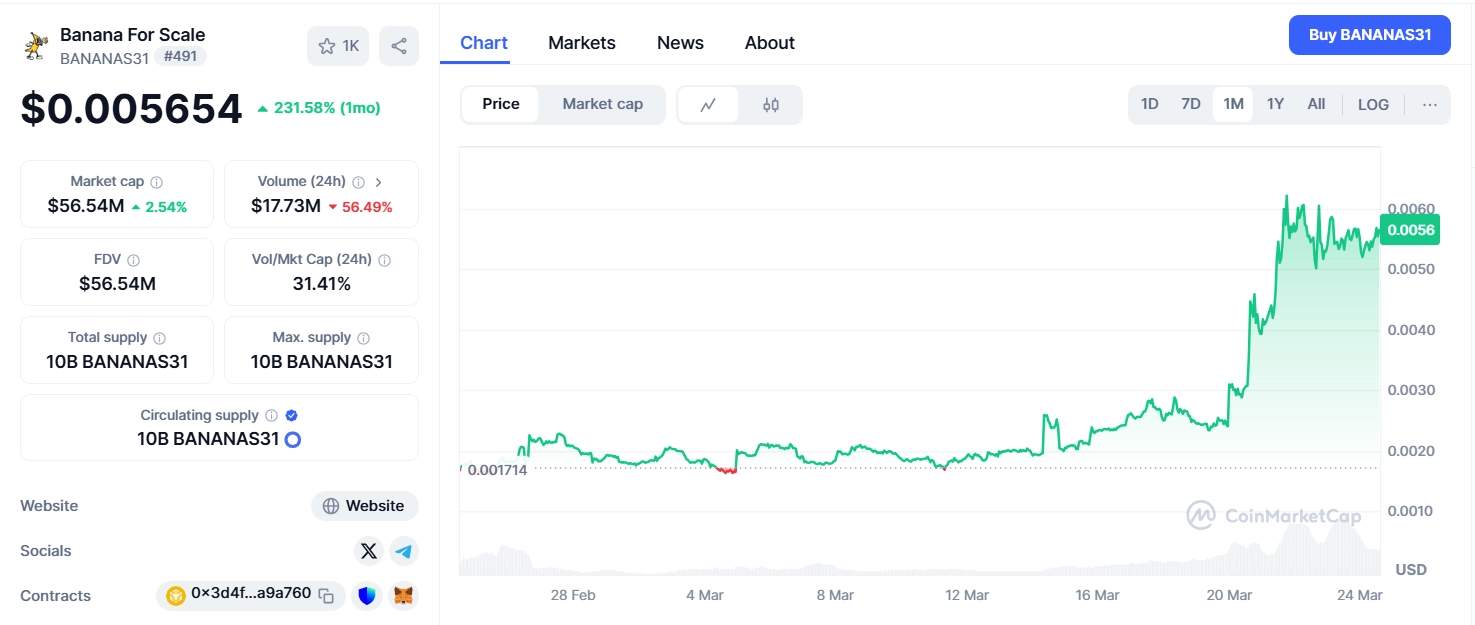 What is BANANAS31 token? The million-dollar banana memecoin – Banana For  Scale