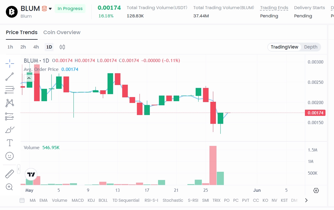 BLUM token price prediction