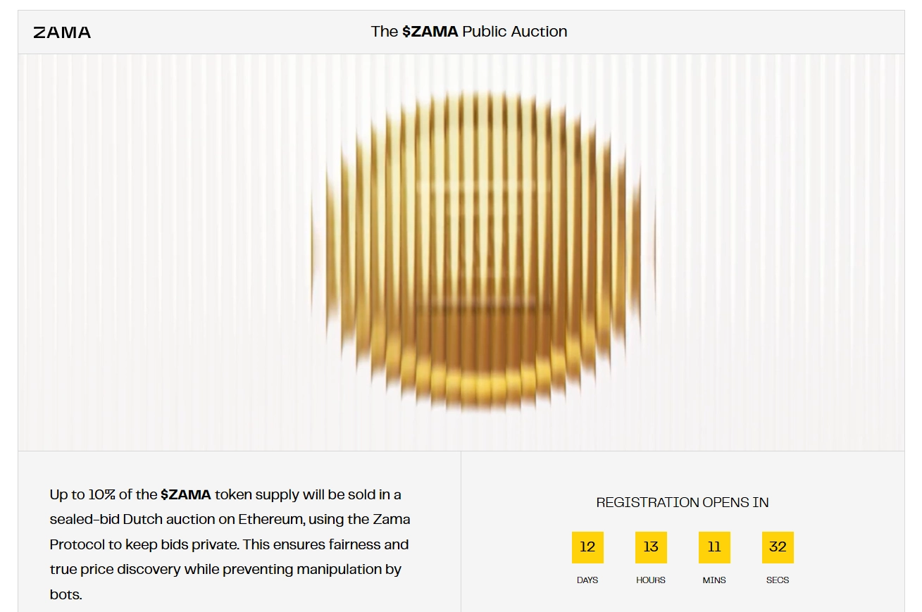 Everything you need to know about the Zama Public Auction
